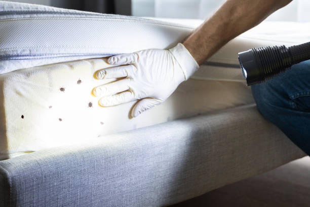 Best Pest Inspection Near Me  in Park Layne, OH