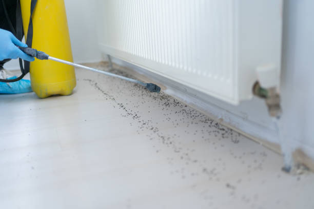 Best Residential Pest Control  in Park Layne, OH