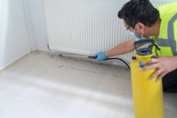 Best Affordable Pest Control Services  in Park Layne, OH